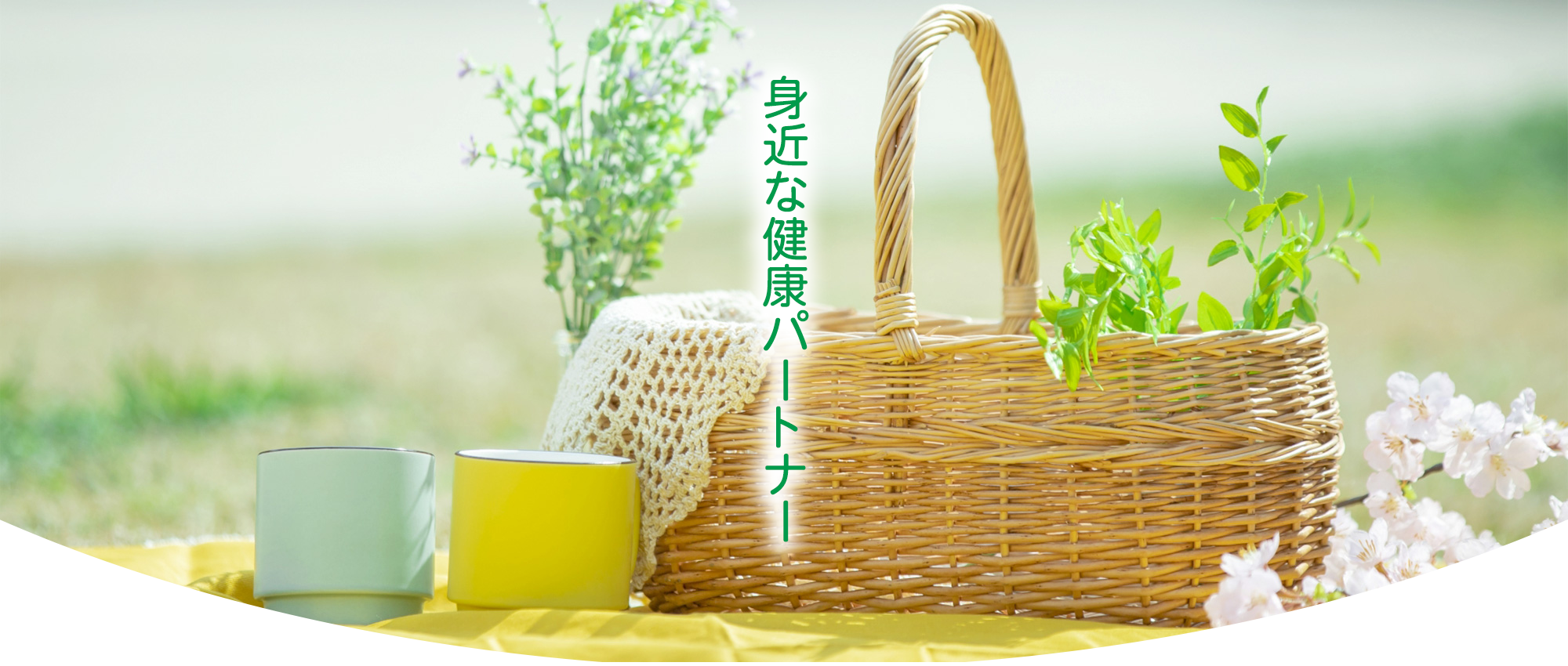 宇部市北琴芝、防府市大字高井、宇部市大字東須恵、調剤薬局